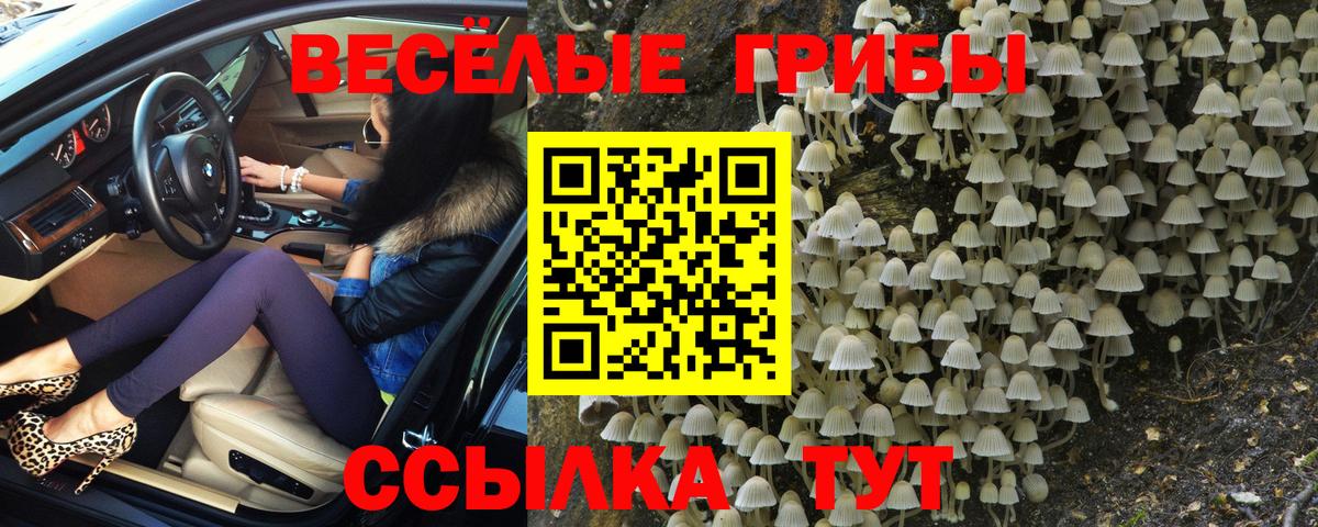 Псилоцибиновые грибы прущие грибы  Вход с VPN  Тамбов 