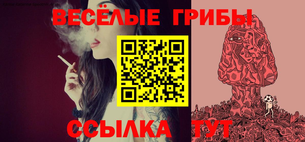 Галлюциногенные грибы Cubensis Тамбов