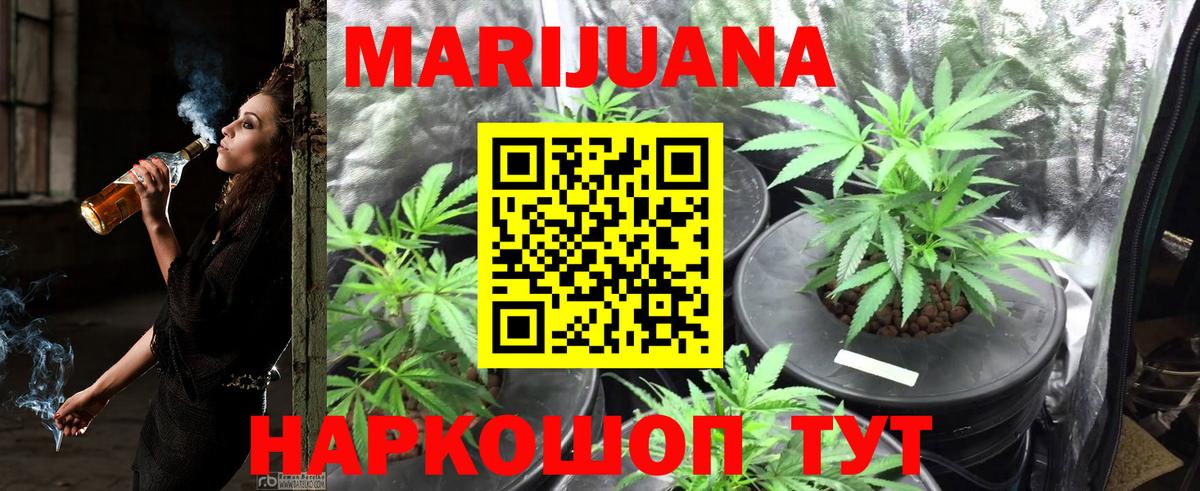 Канабис гибрид Тамбов